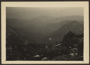 [Idyllisk]