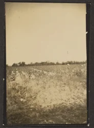 [Landskap]