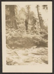 [Landskap]