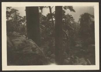 [Landskap]