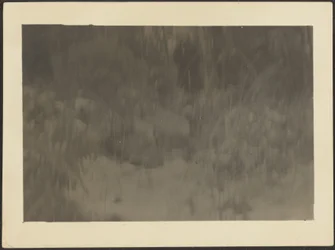 [Landskap]