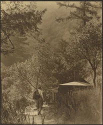 [Mann på vei til en hytte i skogen]