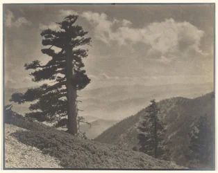 [På ryggen til Old Baldy]