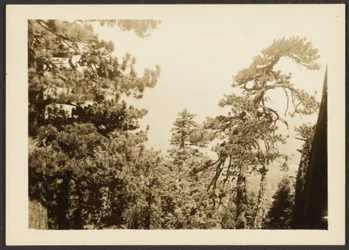 [Santa Rosa-toppen]