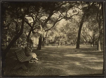 Kvinne i en park