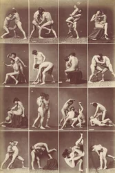 Album of Studies-Poses, ca. 1880.