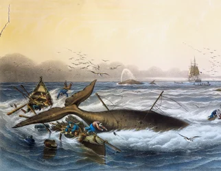 Hvalfangst i South Seas, fargelitografi av Louis Lebreton (død 1866)