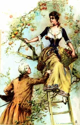 Plukking: Publisitet for kakaoen Blooker 1874 (trykk)