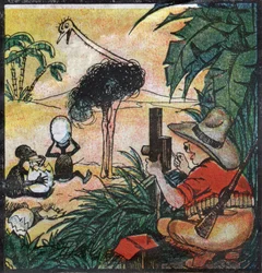 Nestor Fenleroc, europeisk kolon fotograferer en struts i Afrika. 1923 (gravering)