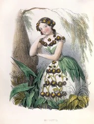 Allegori, Forglemmegei
