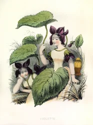 Allegori, fiolen