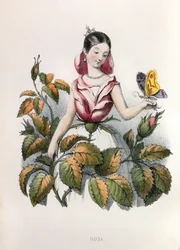 Allegorier, rosene