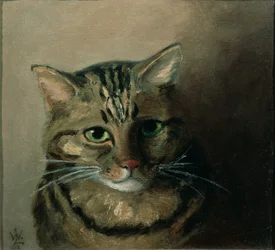 Hodestudie av en stripet katt