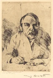 Selvportrett (selvportrett)