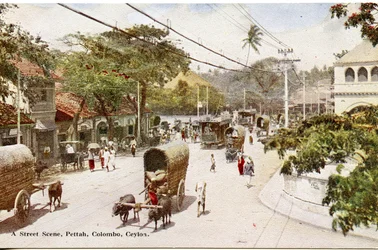 A Street Scene, Pettah, Colombo, Ceylon, ca. 1900-20 (håndkolorert fotografi)