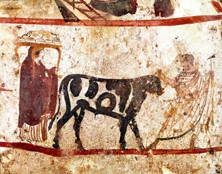En okse føres til offeralteret. Lukansk freske fra det 4. århundre f.Kr. fra Andriuolo-nekropolen i Paestum, Italia. Museo Nazionale Archeologico, Paestum