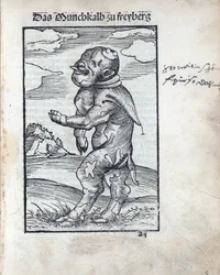 Munkekalv av Freiberg (Das Moenchkalb zu Freiberg), av Cranach, Lucas, den eldste (1472-1553). tresnitt
