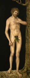 Syndefallet: Adam - Lucas Cranach den eldre (1472-1553). Olje på tre, ca. 1510-1520. Mål: 137x54 cm. Kunsthistorisches Museum, Wien