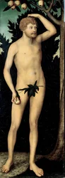 ""Adam"" Maleri av Lucas Cranach II den yngre (1515-1586) Etter 1537 Dim 171 x 63 cm Tyskland Dresden statlige kunstsamlinger