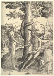 Menneskets fall, Adam og Eva, ca. 1514.