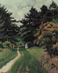 Pinewood ved Chipperfield Common