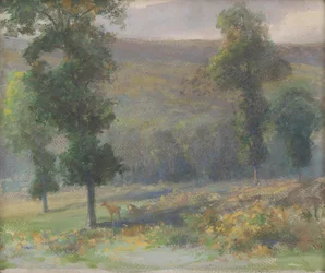 Hjort i skogen