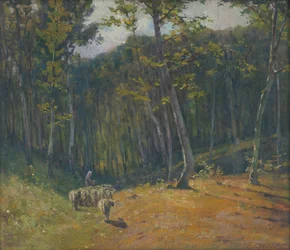 Sauer i skogen