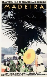 Vakre Isle of Flowers and Sunshine MADEIRA