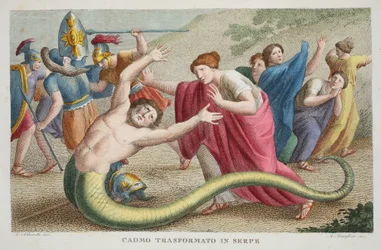 Kadmos forvandlet til en slange eller Cadmo Transformato in Serpe, bok IV, illustrasjon fra Ovids Metamorfoser, Firenze, 1832