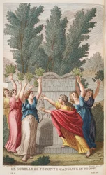 Heliades inn i trær som gir Amber eller Le Sorelle di Fetonte Cangiante i Pioppi, illustrasjon fra Ovids Metamorphoses, Firenze, 1832 (håndfarget gravering)