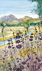 Fjell, elv og villblomster