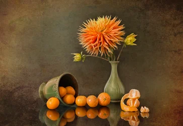 Høstdahlia og mandariner