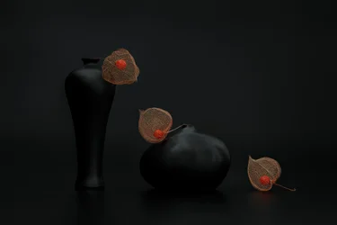 Kinesiske lykter og svarte vaser
