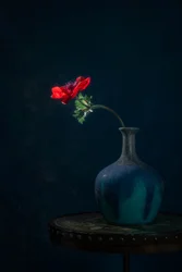 Mørk vase med anemoner
