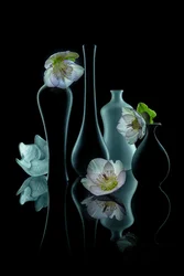 Elegant blomsterprakt