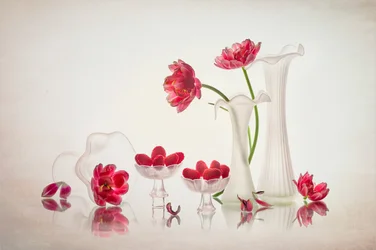 Elegant blomsterstilleben