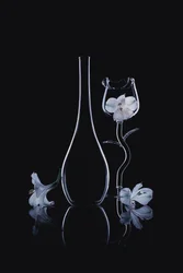 Elegante glassorkideer