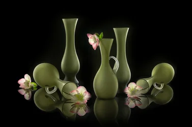 Elegante vaser og blomster