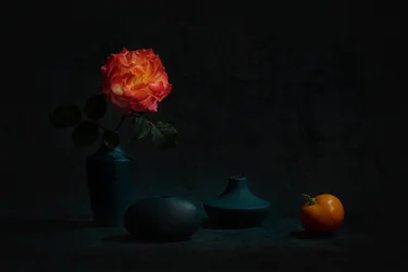 Glødende oransje rose