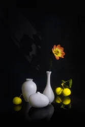 Stemningsfull blomst og frukt