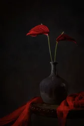 Stemningsfulle røde anthurium