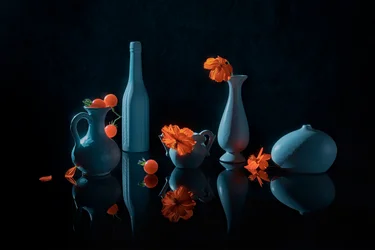 Oransje blomster, blå vaser