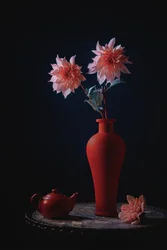 Rosa georginer, rød vase