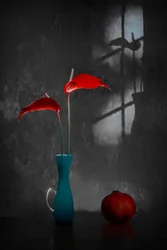 Røde anthurium i blå vase