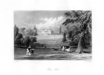 Pains Hill, Surrey, 1800-tallet.