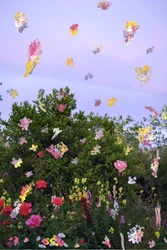 Abstrakterte blomster, 2019 (akrylmaling på arkivpigmenttrykk)