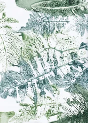 Botaniske inntrykk av bregner