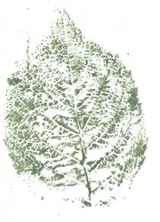 Botanisk bladmønster