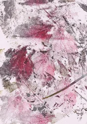 Inntrykk av Crimson Leaf