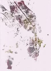 Jordnære botaniske inntrykk